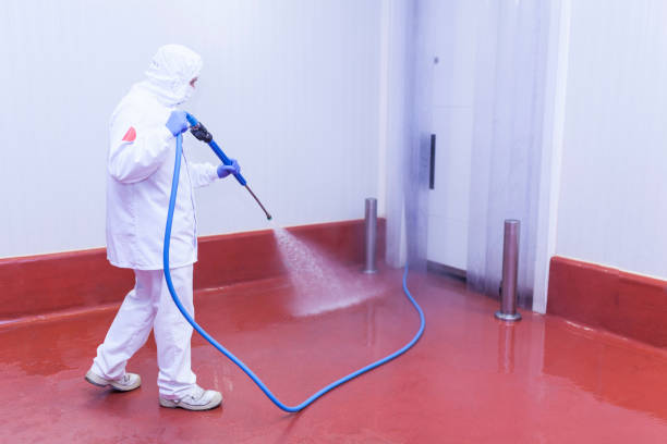Best Fleet Vehicle Washing  in Harvey, MI