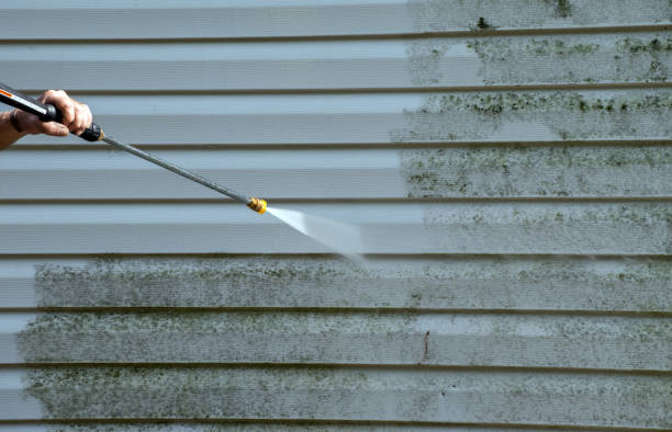 Best Patio and Deck Pressure Washing  in Harvey, MI
